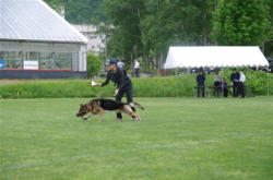 札幌方面嘱託警察犬審査会の写真