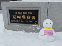 啓発雪だるまの写真1