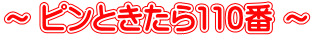 ～ ピンときたら110番 ～