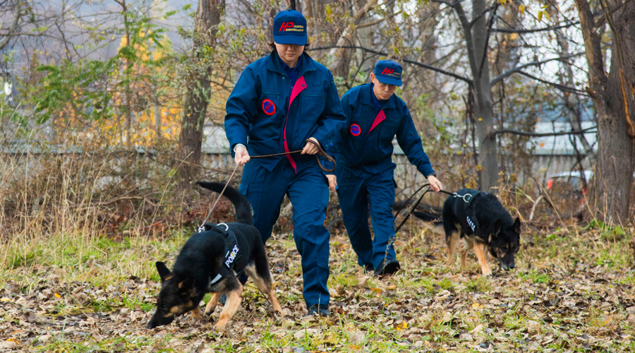警察犬による捜索活動（鑑識課）