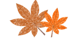 落ち葉のイラスト